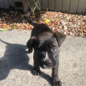 Meet your Posher, Brandon